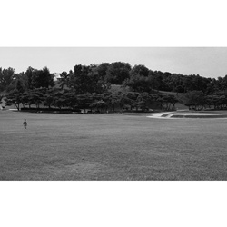 dailyPhoto24